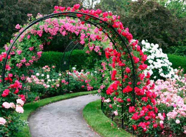 Садовая арка — особенности конструкции | Оптимальное соотношение.