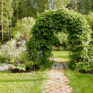 Преимущества садовой арки из пластика | Оптимальное соотношение.